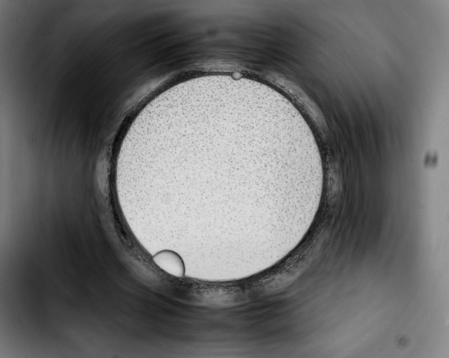 X0000103410533200810241211