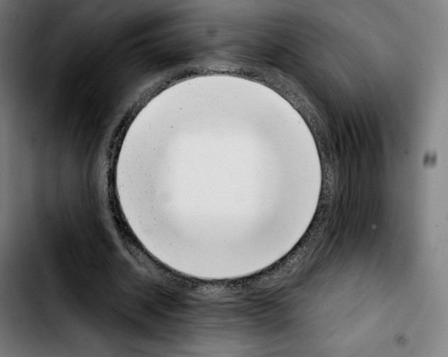 X0000103410534200810241211