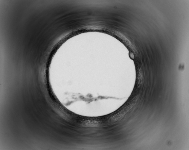 X0000103410535200810241211