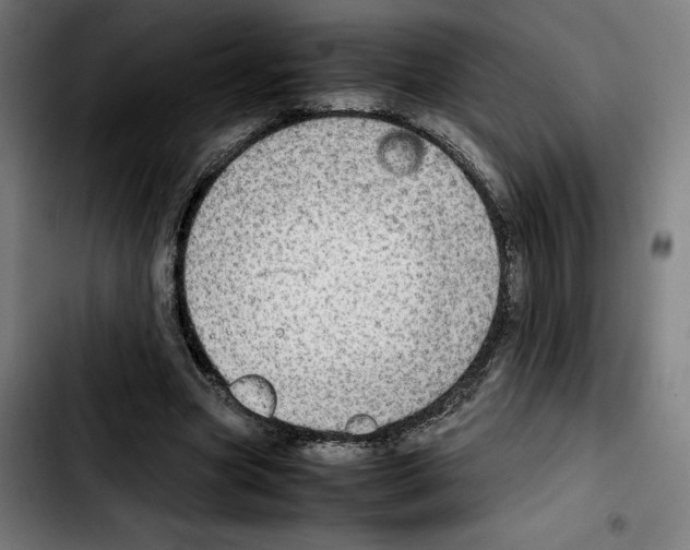 X0000103410537200810241211