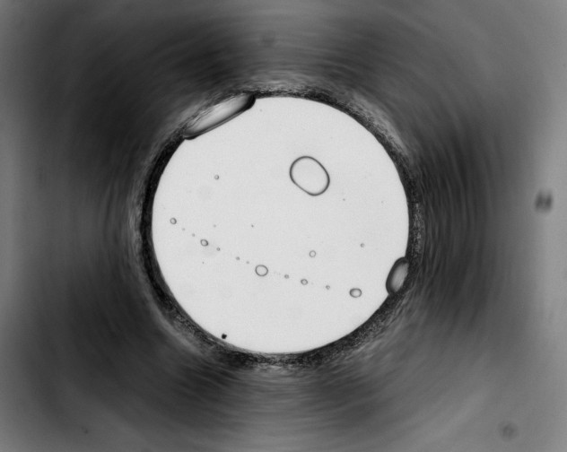 X0000103410538200810241211