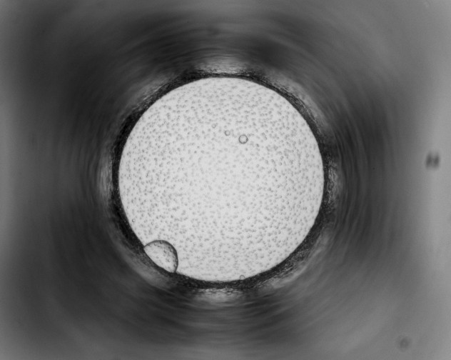 X0000103410541200810241211