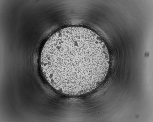 X0000103410542200810241211