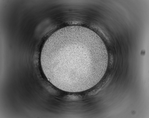 X0000103410545200810241211