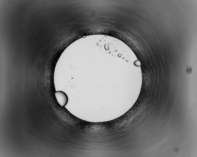 X0000103410546200810241211