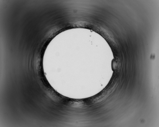 X0000103410548200810241211