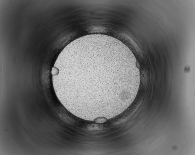 X0000103410549200810241211