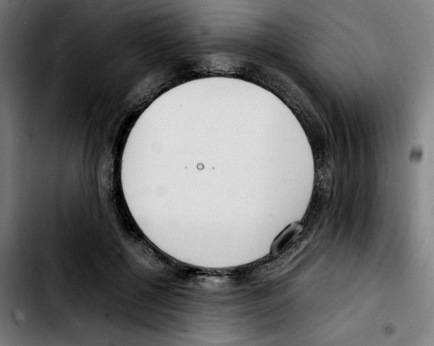 X0000103410552200810241211