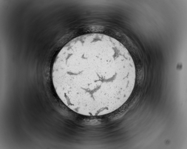 X0000103410553200810241211