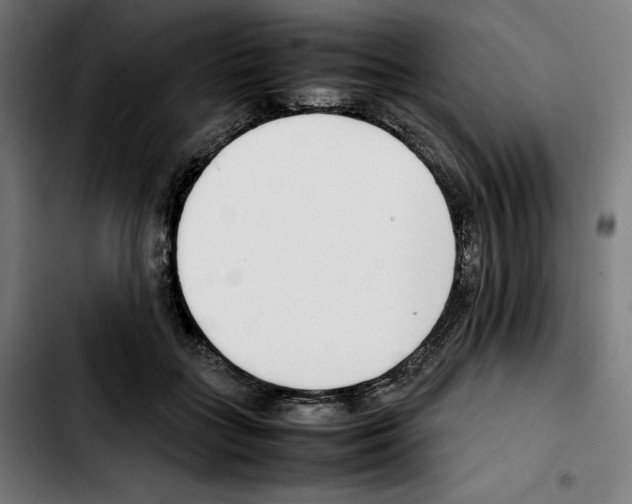 X0000103410555200810241211