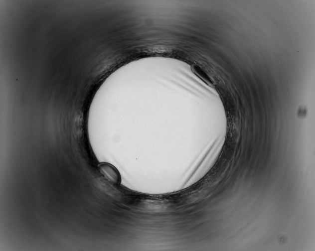 X0000103410556200810241211