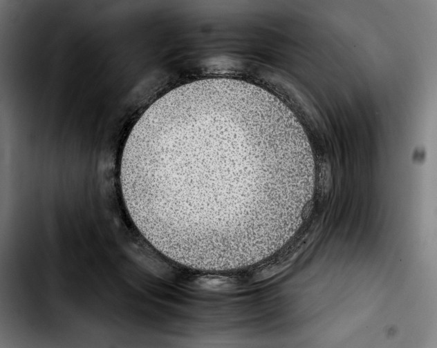 X0000103410557200810241211