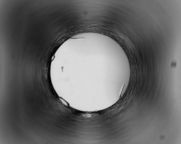 X0000103410558200810241211