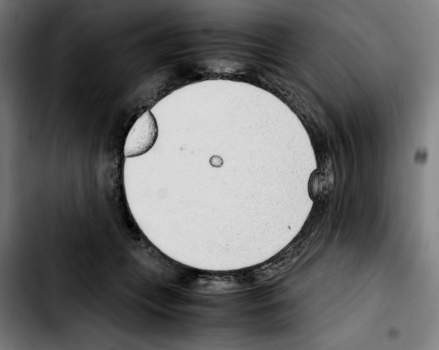 X0000103410559200810241211