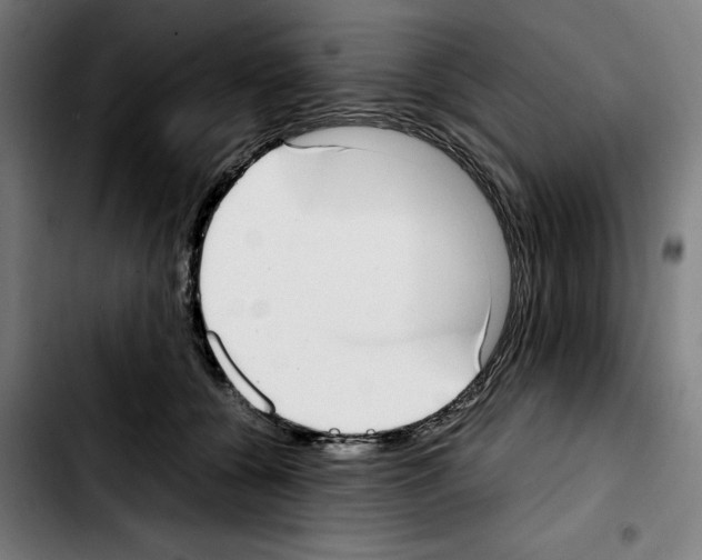 X0000103410560200810241211