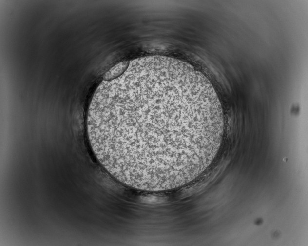 X0000103410561200810241211