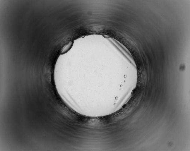 X0000103410562200810241211