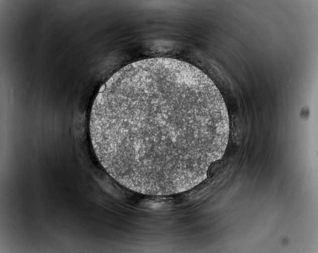 X0000103410563200810241211