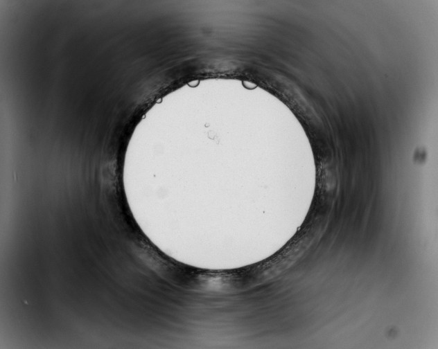 X0000103410564200810241211