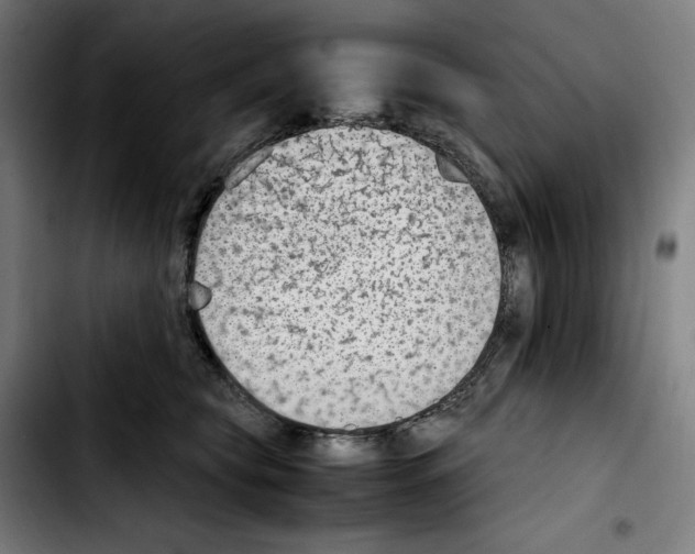 X0000103410565200810241211