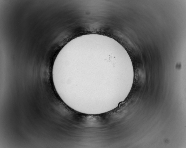 X0000103410566200810241211