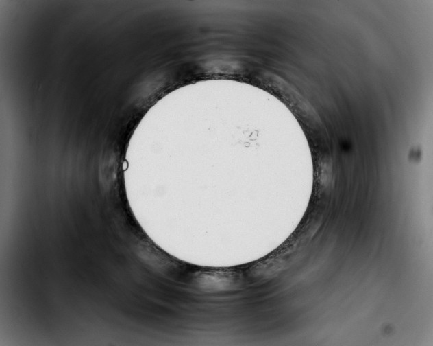 X0000103410567200810241211