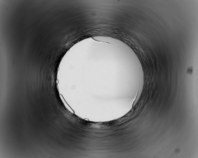 X0000103410568200810241211