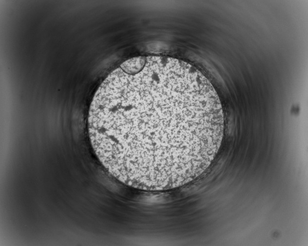 X0000103410569200810241211