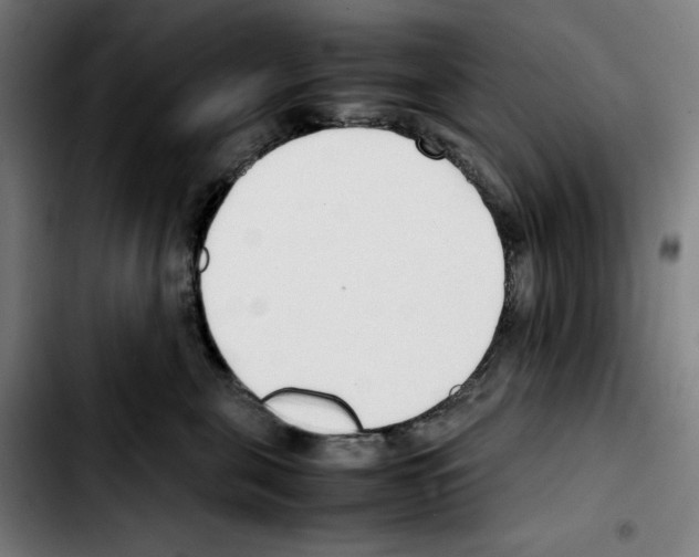 X0000103410571200810241211