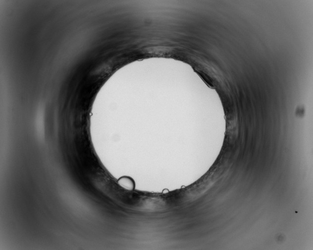 X0000103410572200810241211