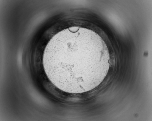 X0000103410573200810241211