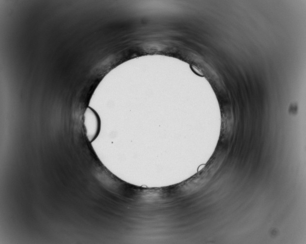 X0000103410574200810241211