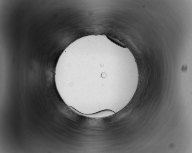 X0000103410576200810241211