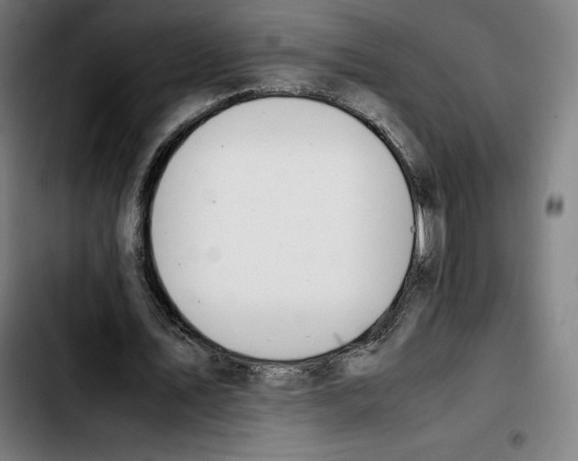 X0000103410579200810241211