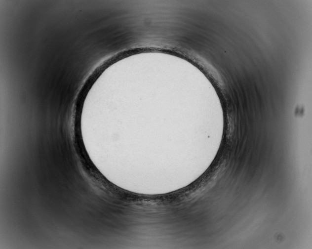 X0000103410580200810241211