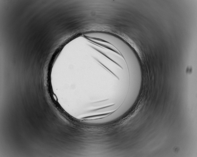 X0000103410581200810241210