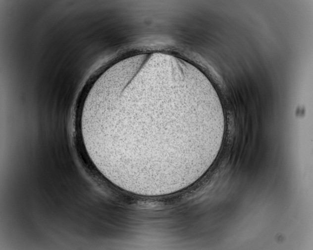 X0000103410582200810241210