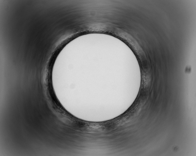 X0000103410583200810241210