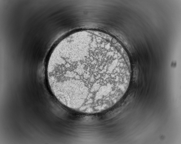 X0000103410584200810241210