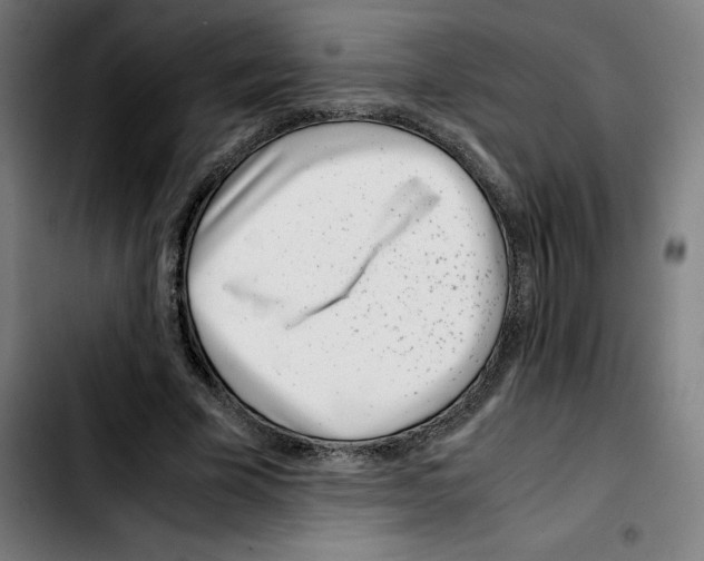 X0000103410585200810241210