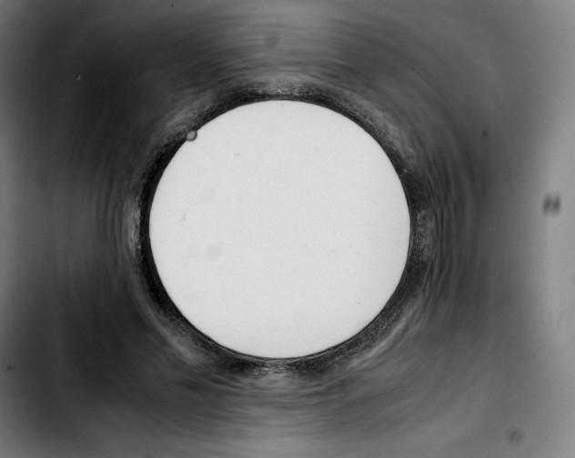 X0000103410589200810241210