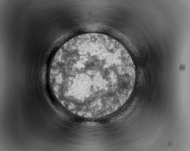 X0000103410590200810241210