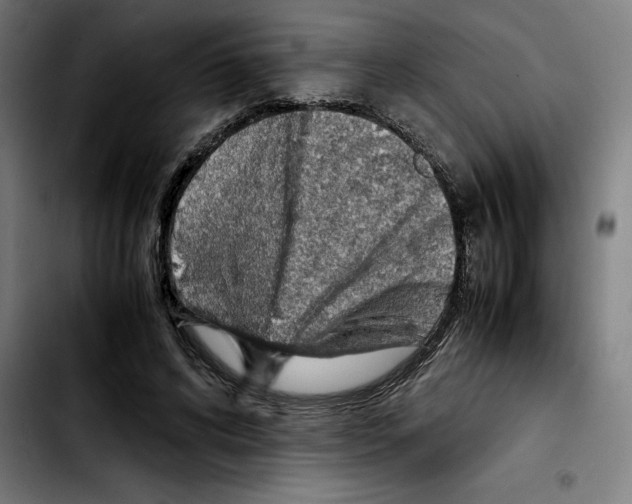 X0000103410592200810241210