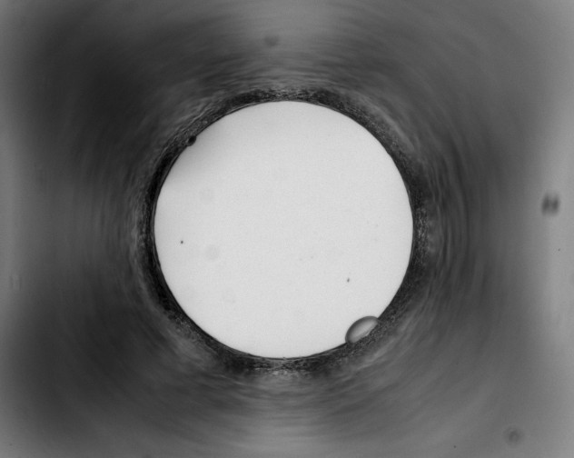 X0000103410593200810241210