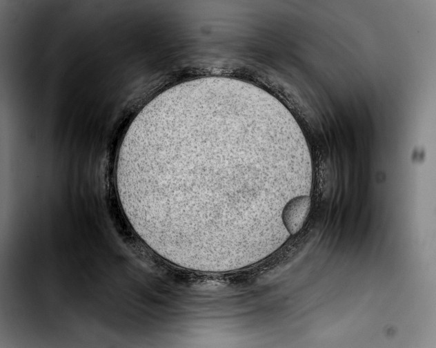 X0000103410594200810241210