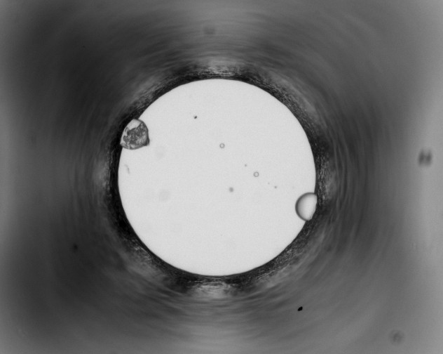 X0000103410595200810241210