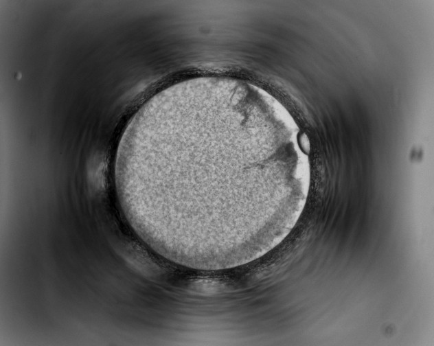 X0000103410596200810241210