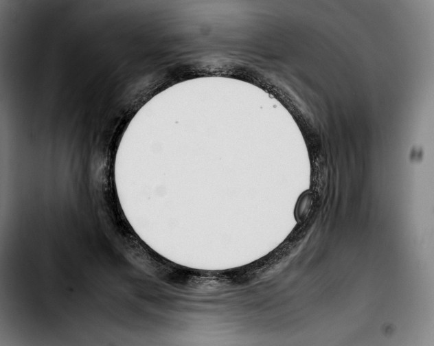 X0000103410597200810241210