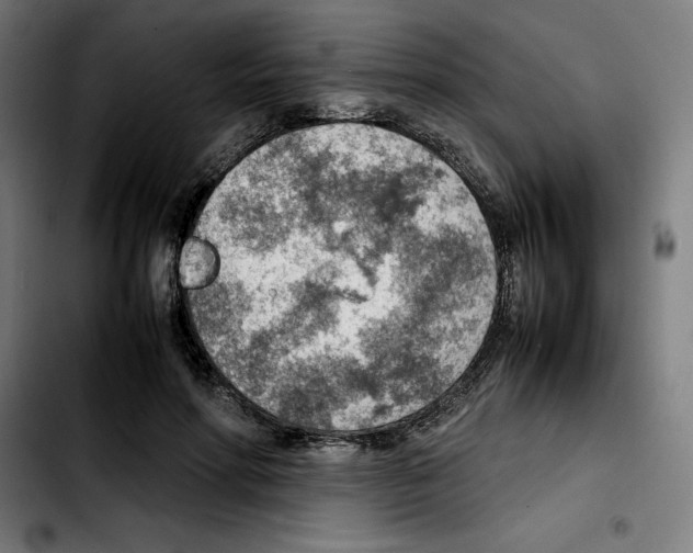 X0000103410598200810241210