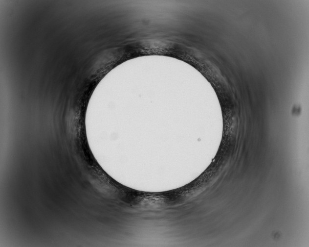 X0000103410599200810241210